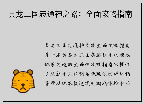 真龙三国志通神之路：全面攻略指南