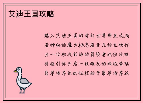 艾迪王国攻略